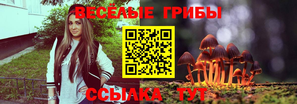 Галлюциногенные грибы ЛСД  Псилоцибиновые грибы ЛСД  Вход с VPN  Усть-Кут 