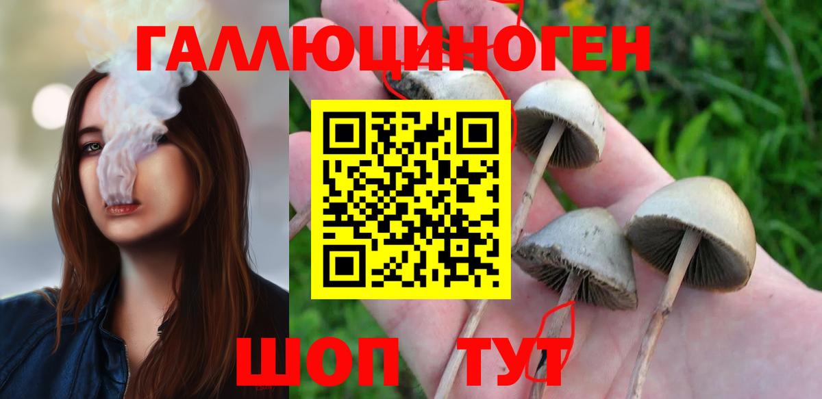 Псилоцибиновые грибы GOLDEN TEACHER Усть-Кут